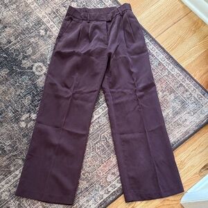 H&M Plum/Burgundy Pants